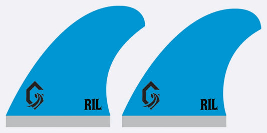 R1