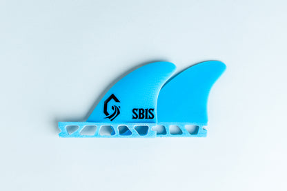 SB1